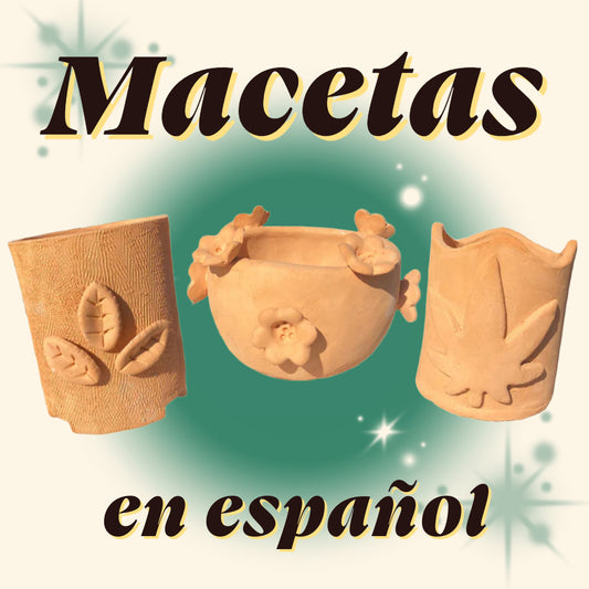 Macetas / Planters in Spanish [Mid-City]