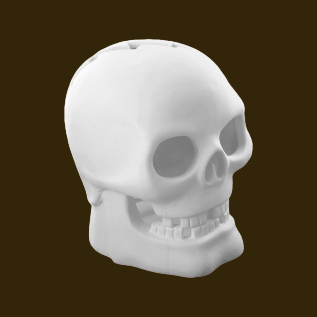 POT + Paint: Skull Lanterns